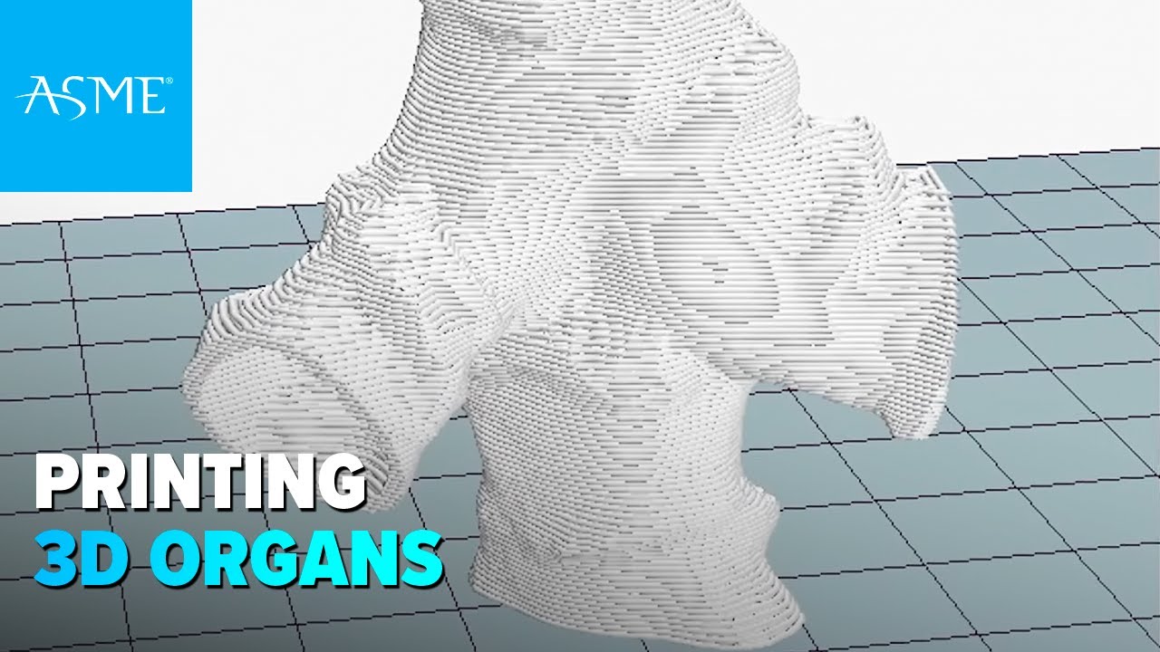 How do you print 3D organs and tissue? Watch this.