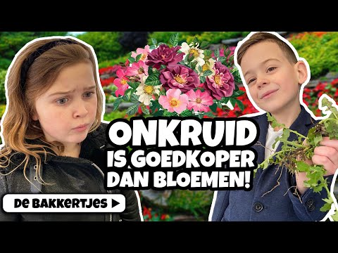 TOP 10 HOE JE NIET MET JE DATE OM MOET GAAN! - De Bakkertjes #337