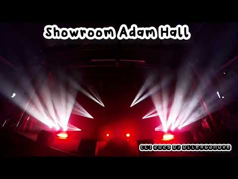 Lichtshow bei Adam Hall