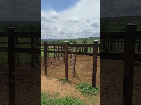 disponível essa maravilha de sítio 36 hectares bodoco pe 8799102 3154