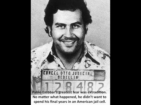 🎲Eck$ vs REAL🎲