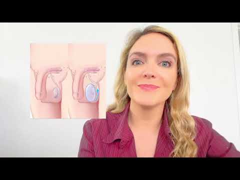 Average Testicle Size