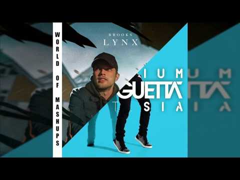 David Guetta ft. Sia vs Brooks - Titanium