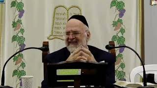 פרשת ויצא תשפ"ו הרב ברוך רוזנבלום בשיעור מרתק על מסע יעקב, והקשר לדוד המלך מבקשי ה' אלעד (רבנים שונים) - התמונה מוצגת ישירות מתוך אתר האינטרנט יוטיוב. זכויות היוצרים בתמונה שייכות ליוצרה. קישור קרדיט למקור התוכן נמצא בתוך דף הסרטון פרשת ויצא תשפ"ו הרב ברוך רוזנבלום בשיעור מרתק על מסע יעקב, והקשר לדוד המלך מבקשי ה' אלעד (רבנים שונים) - התמונה מוצגת ישירות מתוך אתר האינטרנט יוטיוב. זכויות היוצרים בתמונה שייכות ליוצרה. קישור קרדיט למקור התוכן נמצא בתוך דף הסרטון