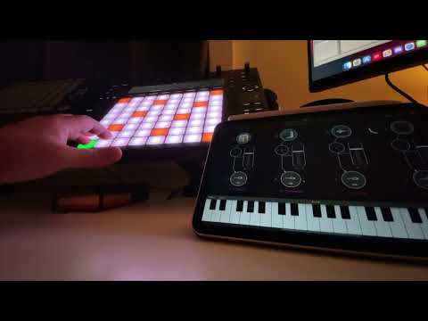 Ableton Push 2 Controlling 14 iPad Synths!