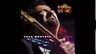 Coco Montoya / Old Habits are Hard to Break  / Nuevo Album "Hard Truth" 2017