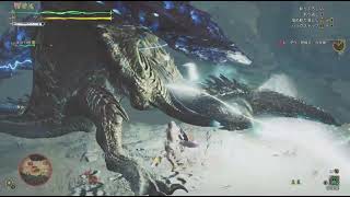 【モンスターハンターワイルズ】☆１０　レ・ダウ