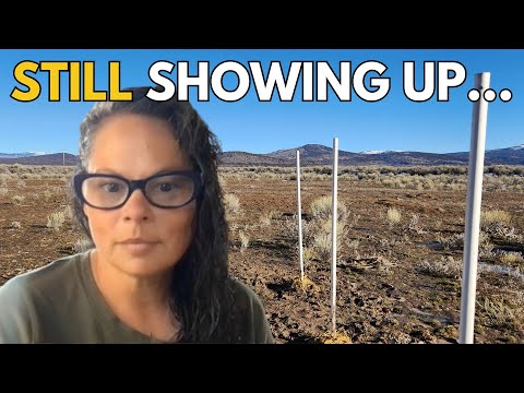 A Busy Day on the Homestead: Building a Wall, a Garden, and My Confidence