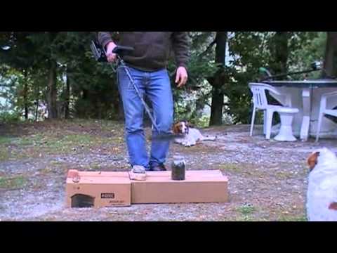 download lagu mp3 mp4 Viking Vk10 Metal Detector, download lagu Viking Vk10 Metal Detector gratis, unduh video klip Viking Vk10 Metal Detector