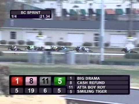 2010 Sentient Jet Breeders' Cup Sprint