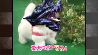 【MHWI】片手剣のススメ。【砕光の恒剣編】