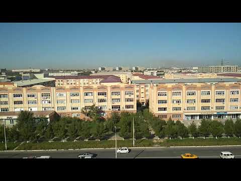 Навои,отель Гарден Хауз,лисий хвост,