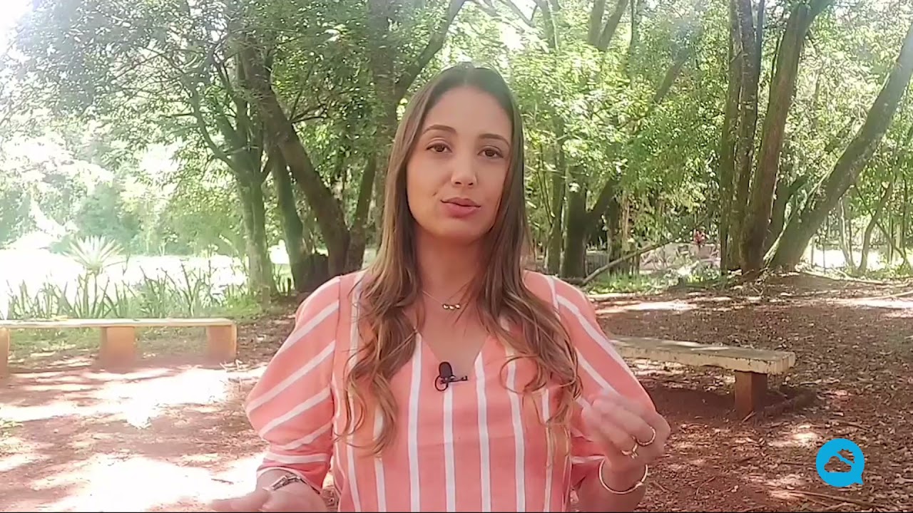 youtube video id=Y-rVzIdVwPk