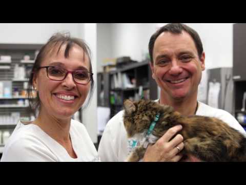 Hôpital vétérinaire Seigneuries