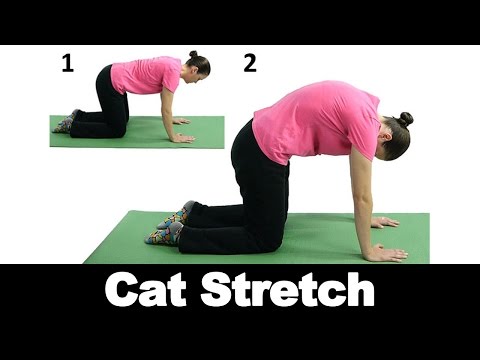 Side Planks Ask Doctor Jo