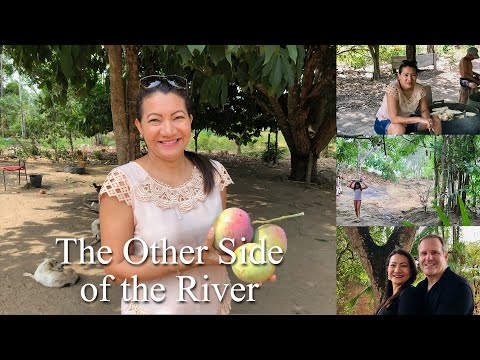 Witness21 Editor  2024 01 05