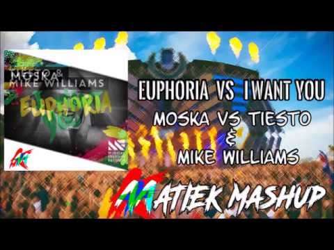 Euphoria vs I Want You (Matiek Mashup)