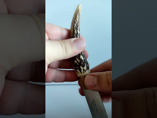 Vídeo relacionado con MULTITACTICO Navaja MARTINS bloqueo con ciervo en el mango.