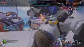 ow2 top500()　サポ