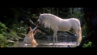 KYST - Unicorn blood