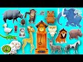 Animal Sounds Rhymes Hickory Dickory Dock Old MacDonald S Farm 1 HOUR Live