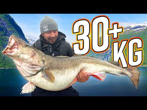 DREAM FISHING: Catching a 32 KILO SKREI in Norway 😱