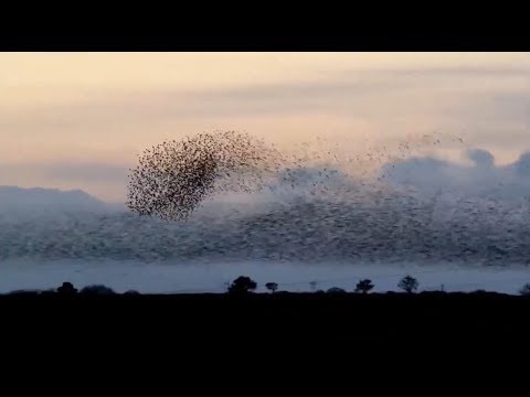 "25-1-14-14" - Pierre Lapointe