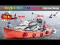 Ilish Hilsa Fish Only 120RS Live Fishing In Bhadbhut Gujarat Fish Market Palva Modar Seefood