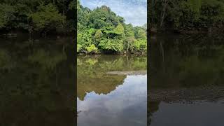 Download lagu Sungai Tempat Mandi Suku Asli Pedalaman Kalimantan #lifeinvillage #village #kampung #shorts mp3
