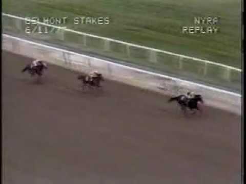 Seattle Slew - 1977 Belmont Stakes