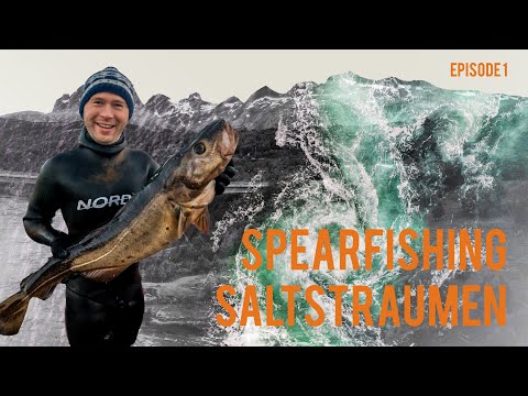 Spearfishing in Saltstraumen - The Strongest Tidal Stream in the World - Ep.  1