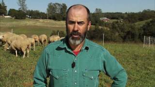 What is an Acre - Ask a Farmer: America's Heartland