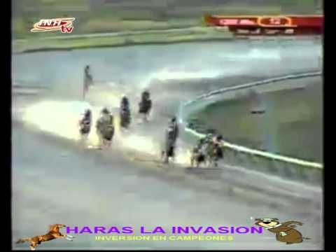 VALENCIA 12 CARRERA, VIERNES 20 DE FEBRERO DEL 2015