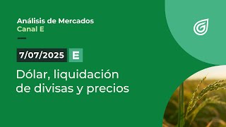 Dólar, liquidación de divisas y precios