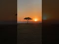 Rise And Shine With My Very Shaky Time Lapse Video ️