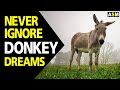 What does Donkey dream meaning || Dreaming of Donkey || Donkey dream interpretation