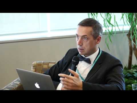 Mikhailo Minakov   Changing Civil Society After Maidan