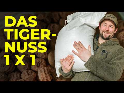 Tigernüsse richtig einsetzen – warum Karpfen sie lieben (und wann sie unschlagbar sind)