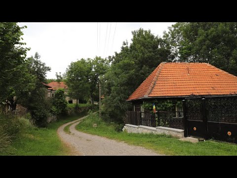 Drum Alun - Ghelari - Hunedoara