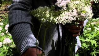 Mockumentary - Czech republic