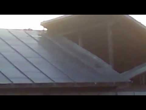 Casa primarului din Baltesti,Partia sobolanilor