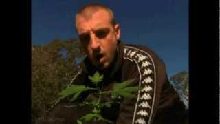 Frenzal Rhomb-Sodom The Clown