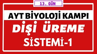 Dişi Üreme Sistemi 1  AYT BİYOLOJİ KAMPI  13g�