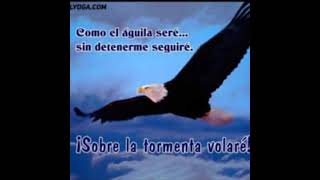 vengo a verte-Mercedes Castro