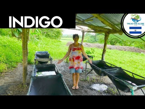 download lagu mp3 mp4 El Salvador Indigo, download lagu El Salvador Indigo gratis, unduh video klip El Salvador Indigo