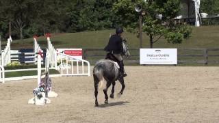 Lynnsay Sexton &amp; Fernhill Riptide CHC International Horse Trials May 2015