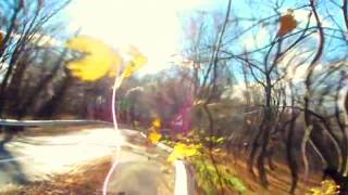 Mark Knopfler, Wild Mountain Thyme