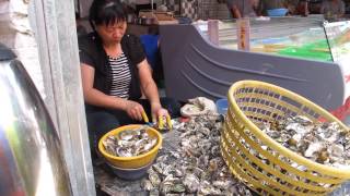 preview picture of video 'Shelling Oysters in Xiamen Market'