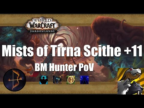 ++11 Mists of Tirna Scithe BM Hunter PoV