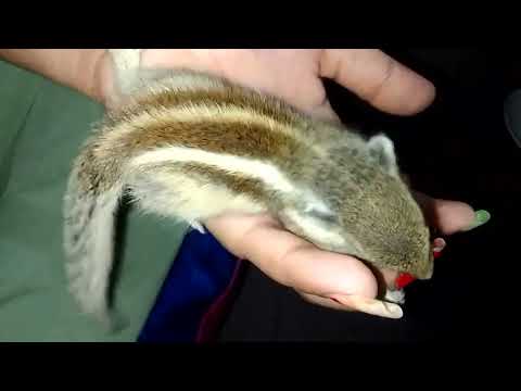 😍😍😍😍😍😍😍😍